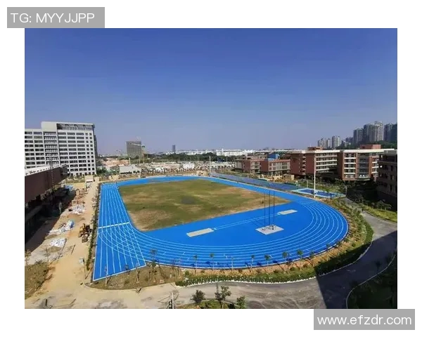 田径赛事招商进展情况分析与未来发展策略探讨